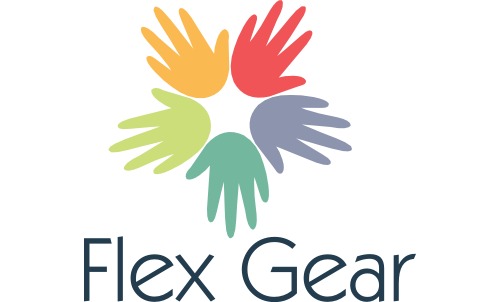 FlexGearの事業内容について